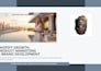 create, design and launch your complete shopify store